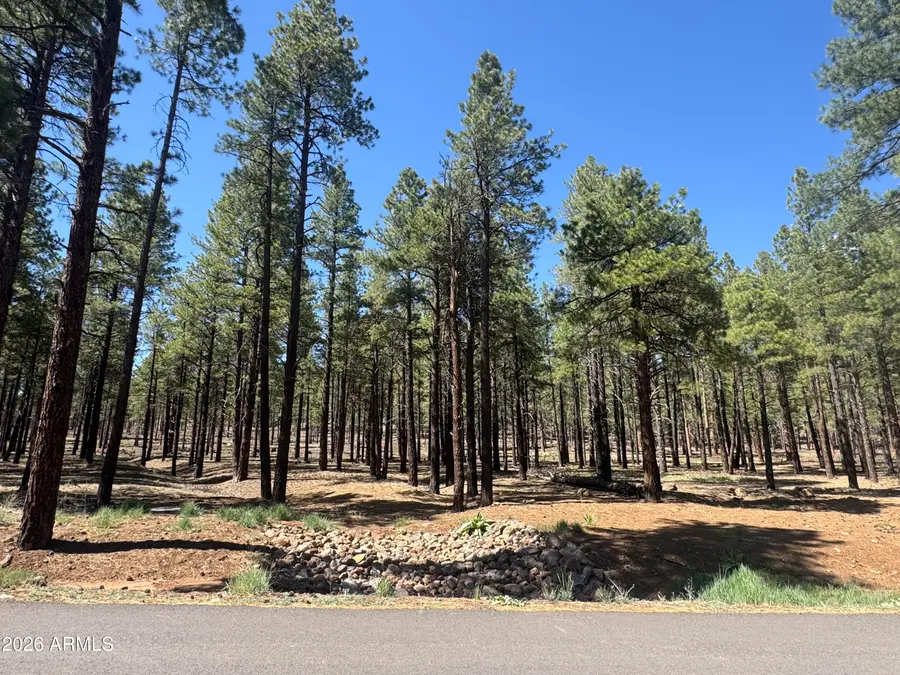 7690 W Taylor Springs Lane #63, Flagstaff, AZ 86001 - #3