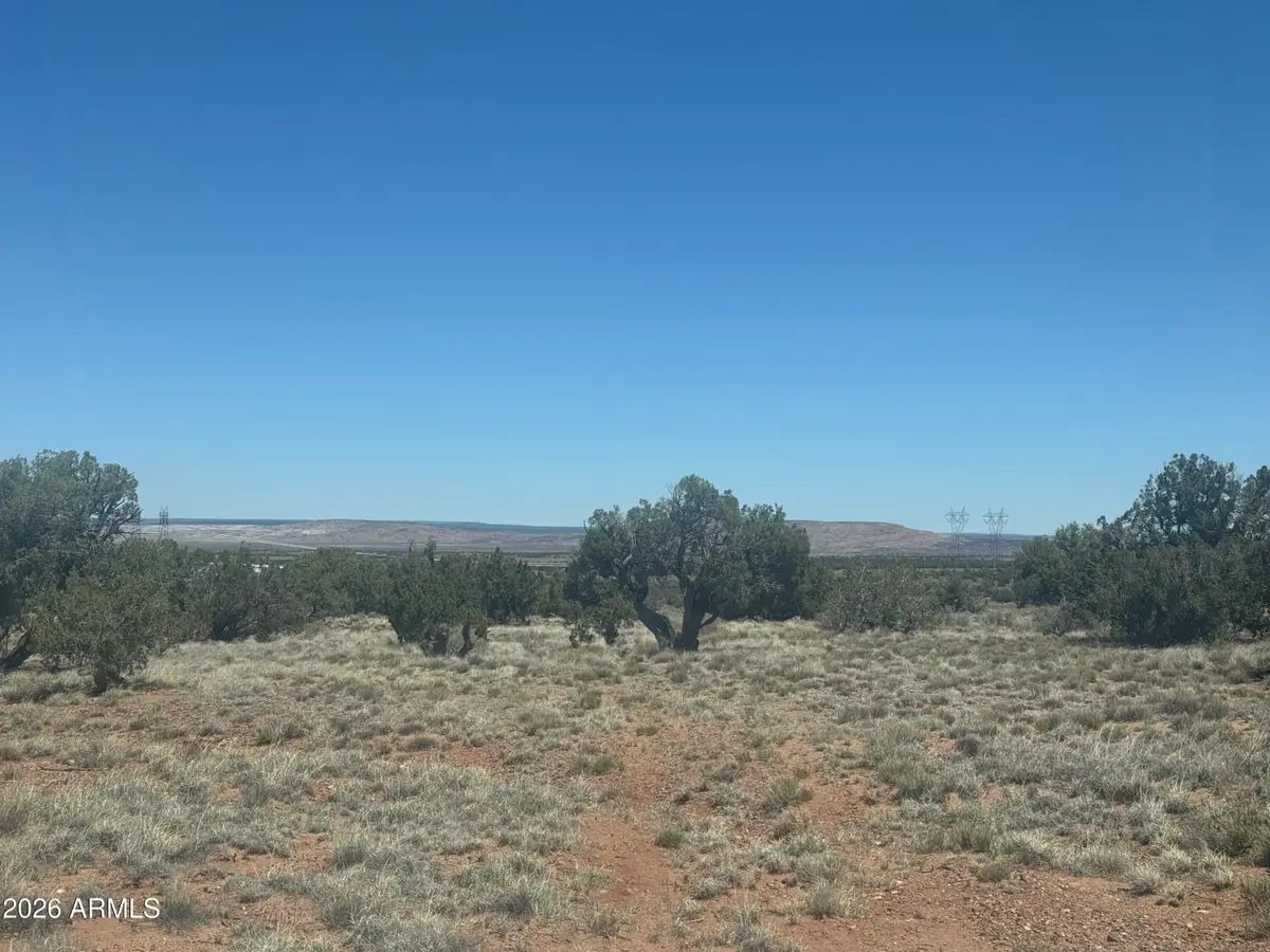 Lot 261 Woodridge Ranch -- #261, Saint Johns, AZ 85936 - #1