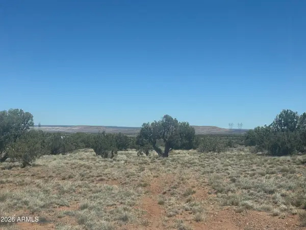 Lot 261 Woodridge Ranch -- #261, St Johns, AZ 85936