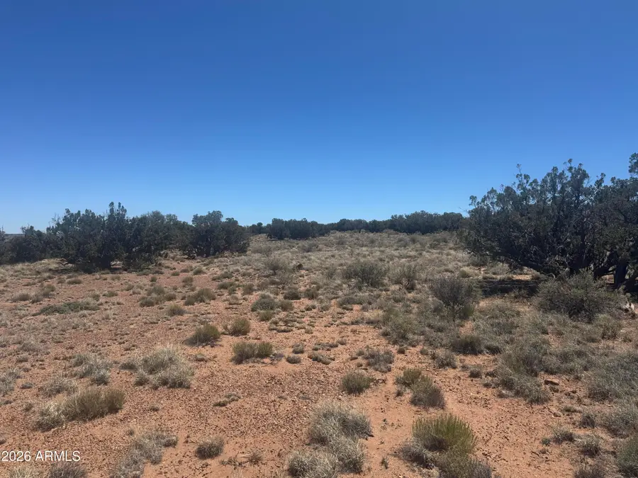 Lot 261 Woodridge Ranch -- #261, Saint Johns, AZ 85936 - #3