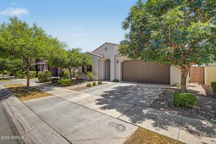 9919 E Thornbush Avenue, Mesa, AZ 85212 - #3