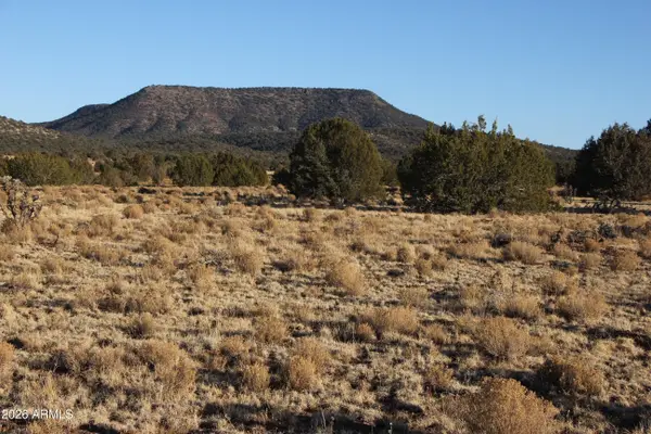 Wrangler R Wrangler Ridge Rd -- #301118203, Seligman, AZ 86337