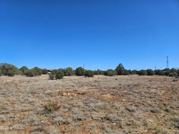 8423 Navajo Drive, Show Low, AZ 85901