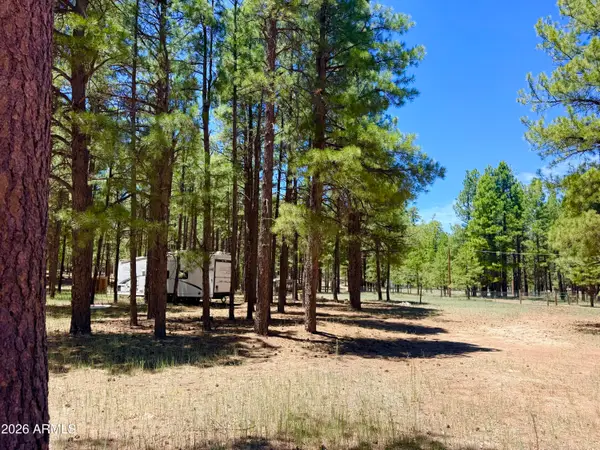 2378 Blue Ridge Drive #479, Happy Jack, AZ 86024