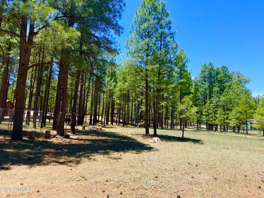 2378 Blue Ridge Drive #479, Happy Jack, AZ 86024 - #2