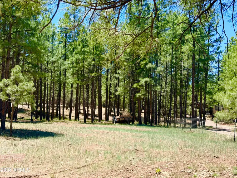 2378 Blue Ridge Drive #479, Happy Jack, AZ 86024 - #3