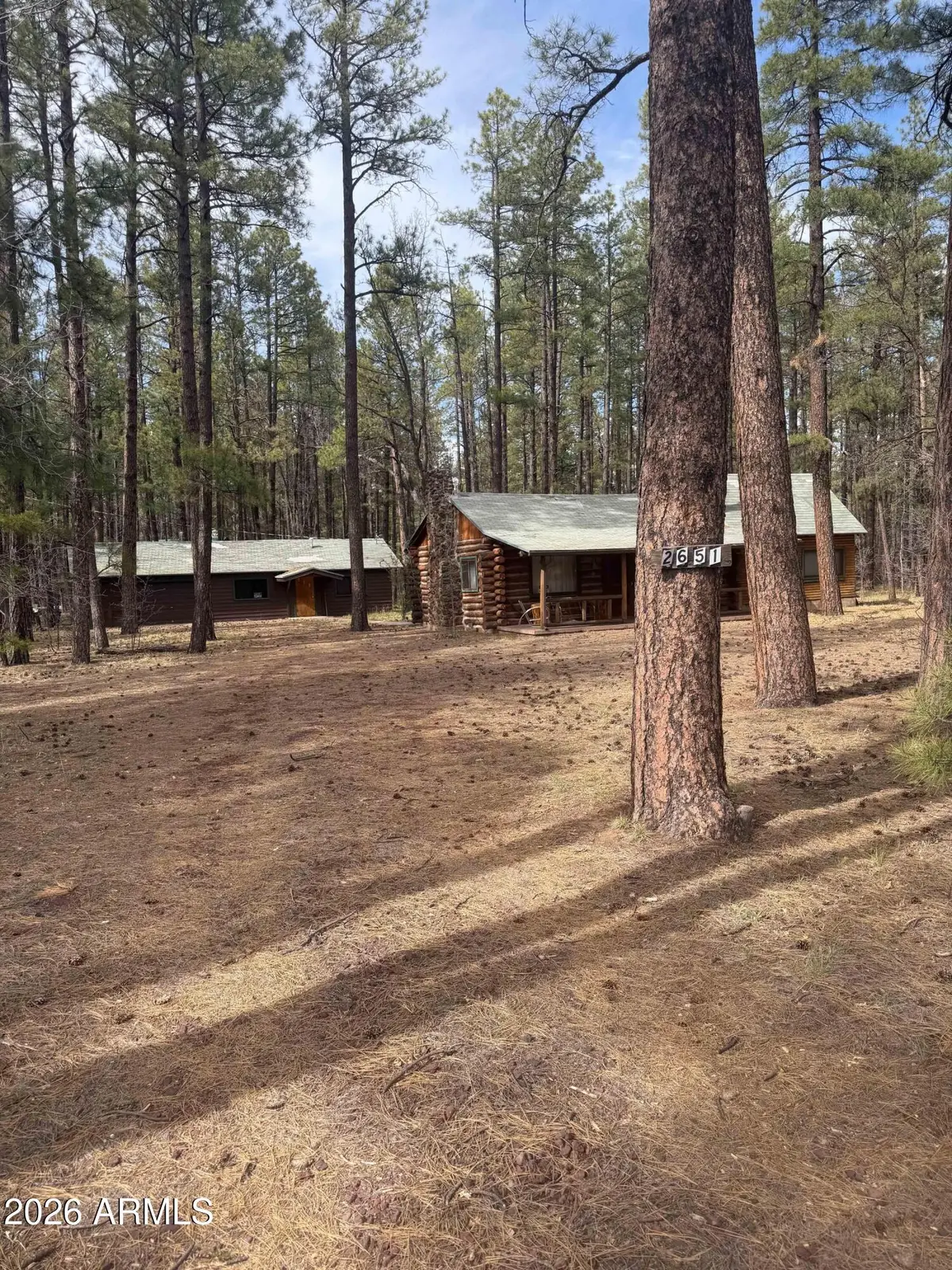 2651 E Chilton Drive, Pinetop, AZ 85935 - #1