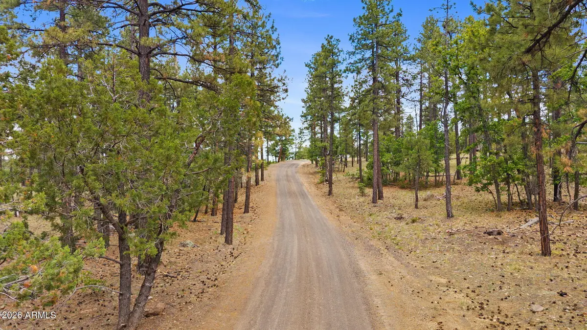 1628 Canyon View Loop #27, Williams, AZ 86046 - #1