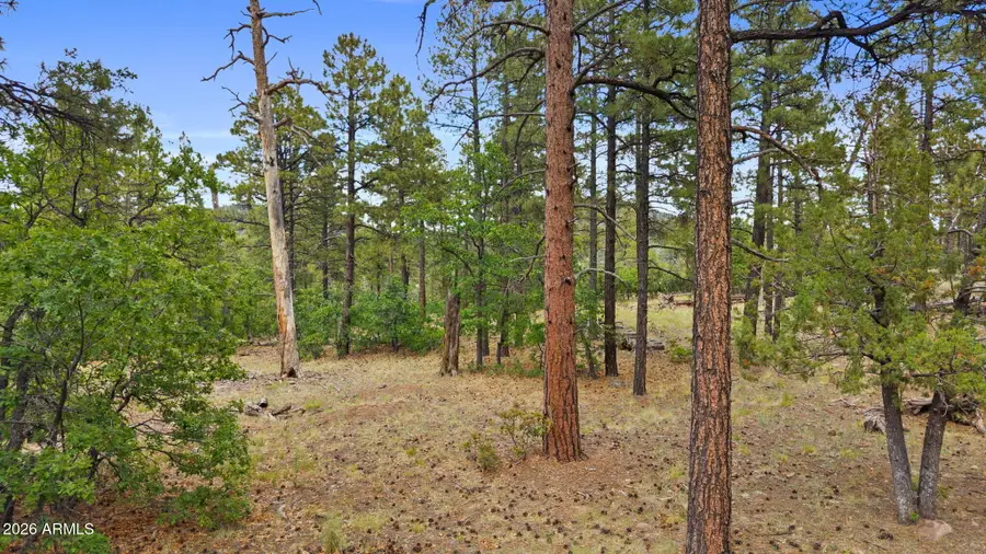 1628 Canyon View Loop #27, Williams, AZ 86046 - #2
