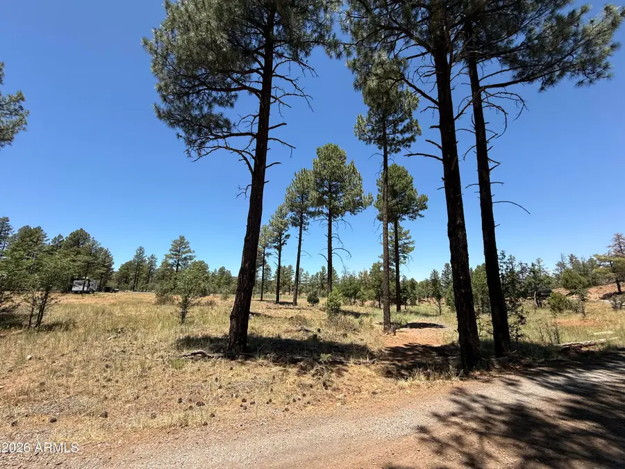 854 E Pine Meadow Lane, Show Low, AZ 85901 - #2