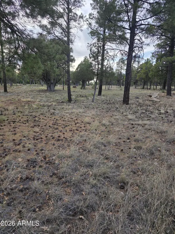 2584 Arapaho Drive #600, Happy Jack, AZ 86024