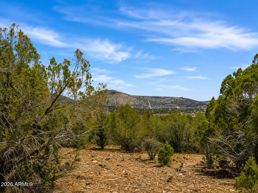 0 N Dominique Drive, Chino Valley, AZ 86323 - #3
