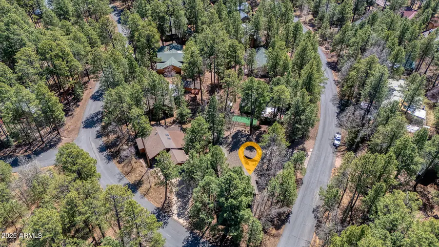 4816 Black Panther Loop, Pinetop, AZ 85935 - #3