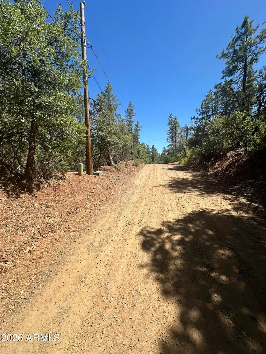 00 N Hopi Lane #281, Pine, AZ 85544 - #3