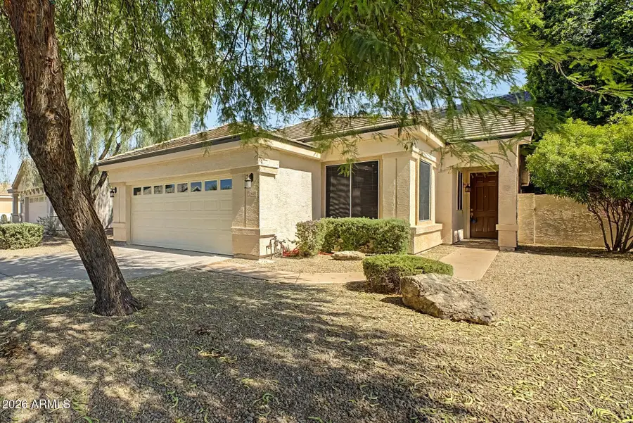 1343 W Thompson Way, Chandler, AZ 85286 - #2