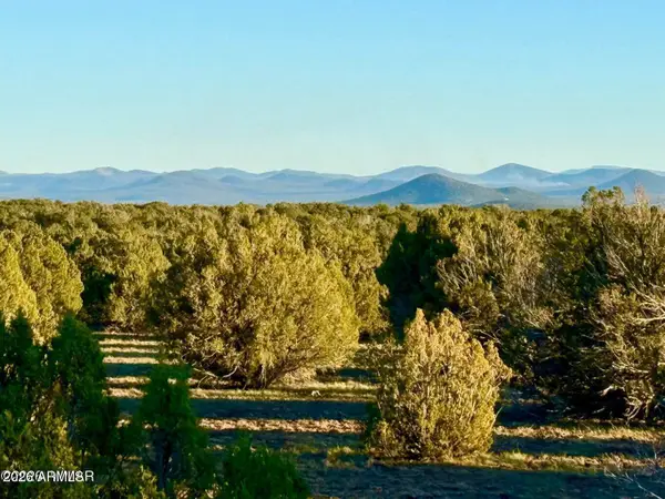 9023 Appaloosa Lots A & D --, Show Low, AZ 85901