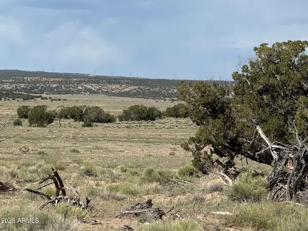 n6581 N N6581 -- #765, St Johns, AZ 85936