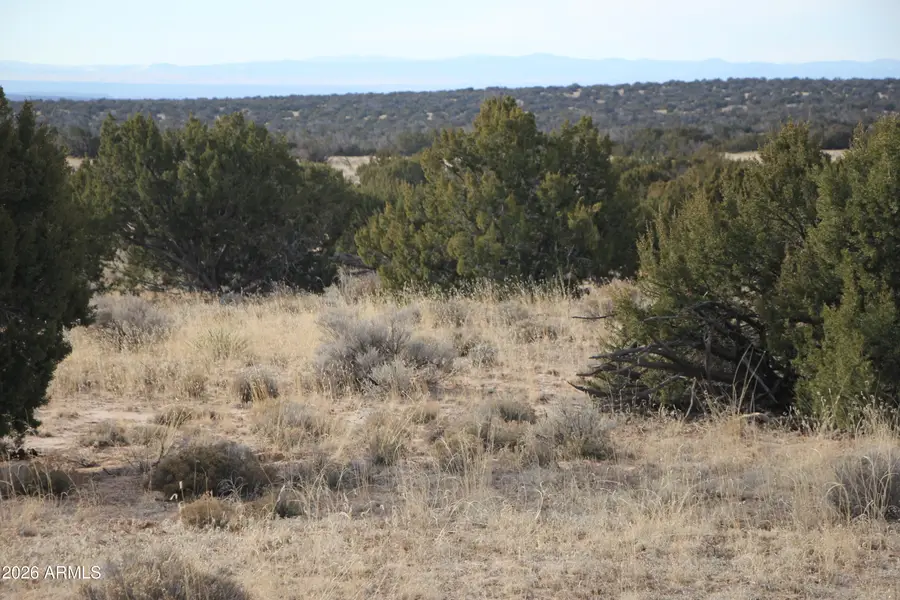 N7144 N N7144 -- #14, Saint Johns, AZ 85936 - #3