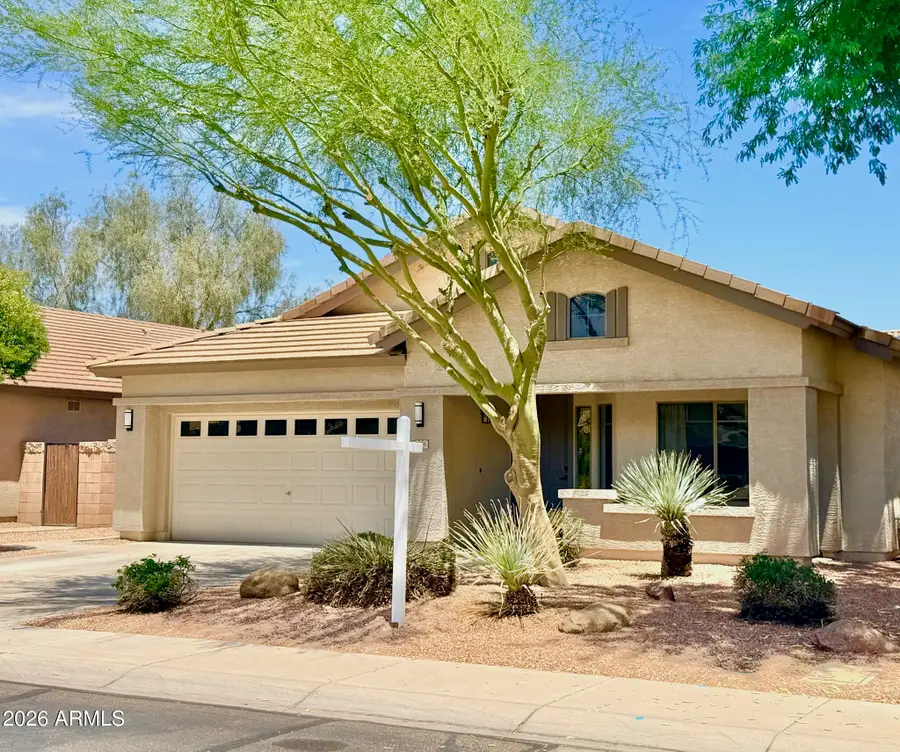 1126 E Carob Drive, Chandler, AZ 85286 - #2