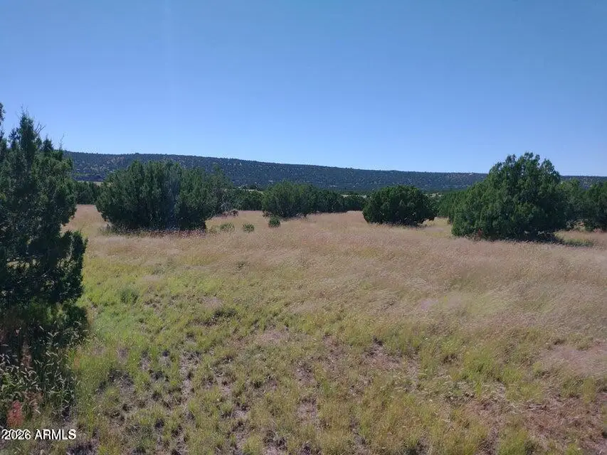 71 Acr 8001 -- #632, Concho, AZ 85924 - #1