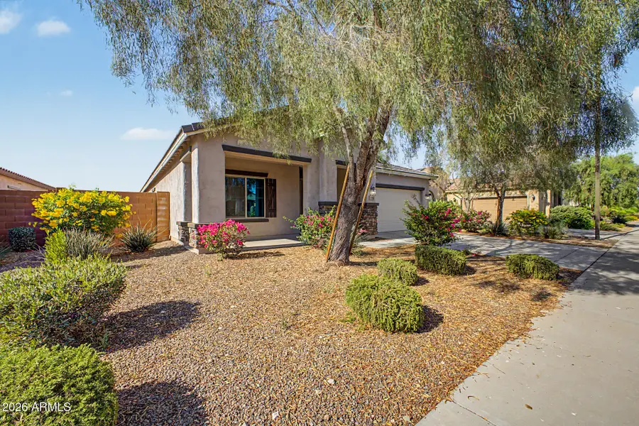 25994 W Oraibi Drive, Buckeye, AZ 85396 - #2