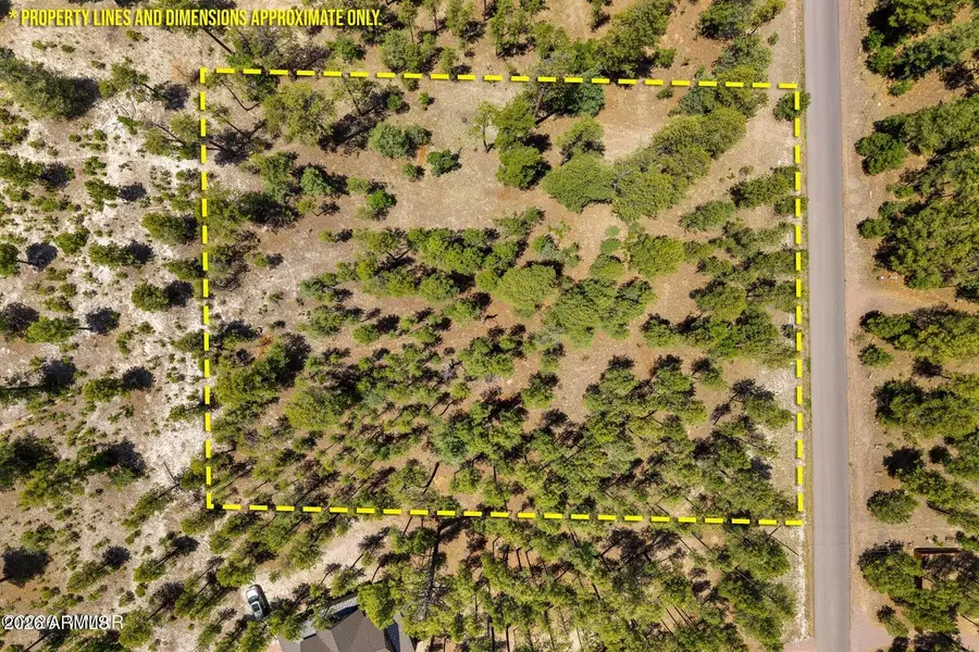 98 County Road 2266 --, Alpine, AZ 85920 - #3