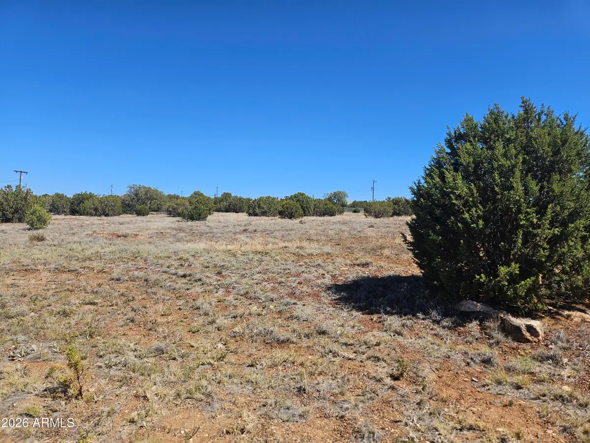 2429 Bourdon Ranch Road #F, Show Low, AZ 85901 - #1