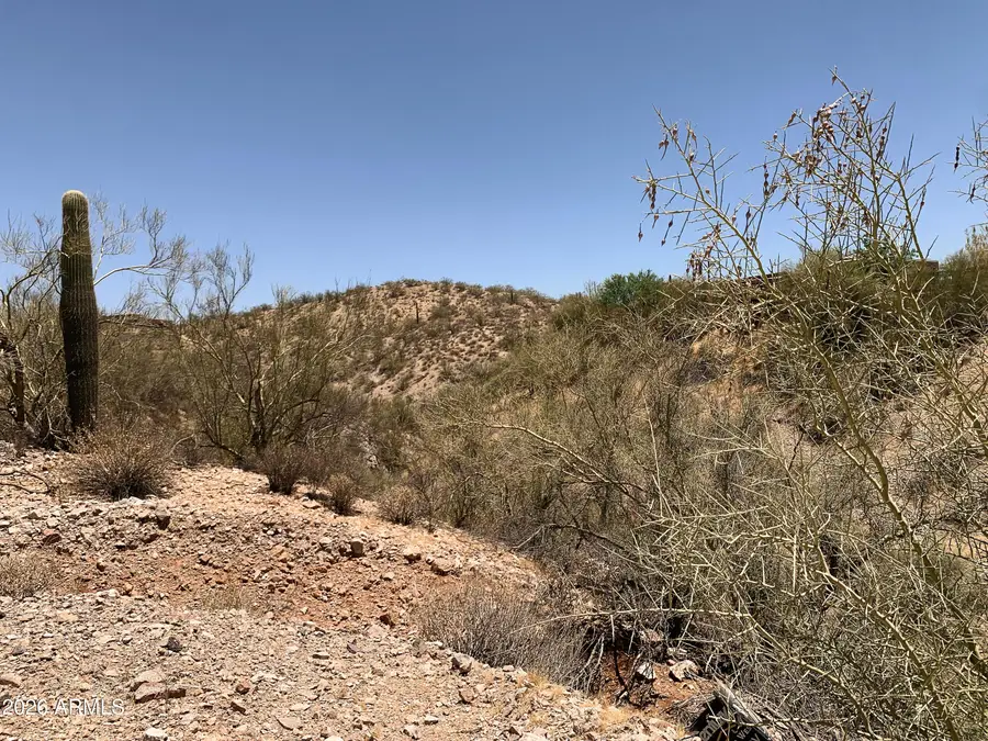 516XX N Mockingbird Road, Wickenburg, AZ 85390 - #2