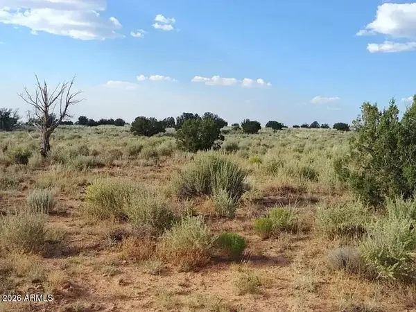00 Kims Ranch Road, Snowflake, AZ 85937