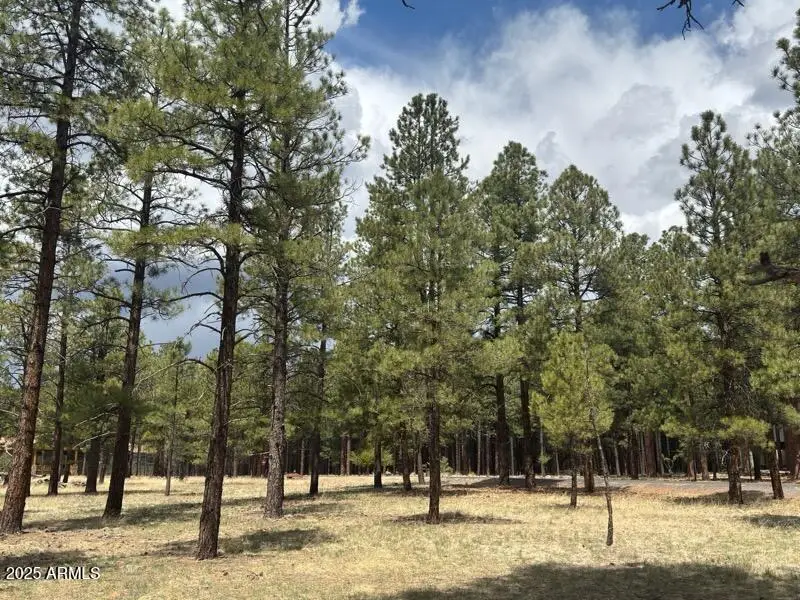 Lot 1 Hattie Greene -- #1, Flagstaff, AZ 86001 - #1