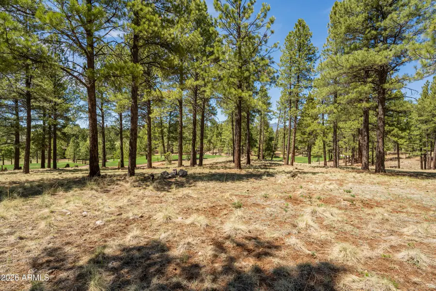 3663 S Woodland Hills Drive #365, Flagstaff, AZ 86005 - #2