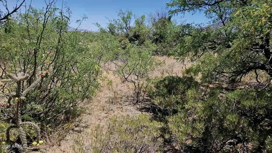 5232 E Valley Vista Drive #9, Hereford, AZ 85615 - #2