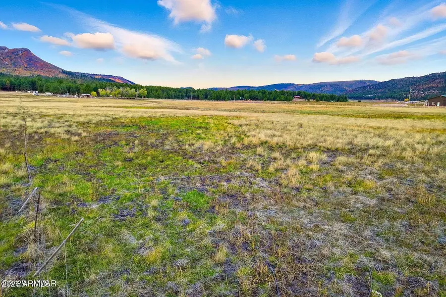 TBD Alpine Unsubdivided --, Alpine, AZ 85920 - #3