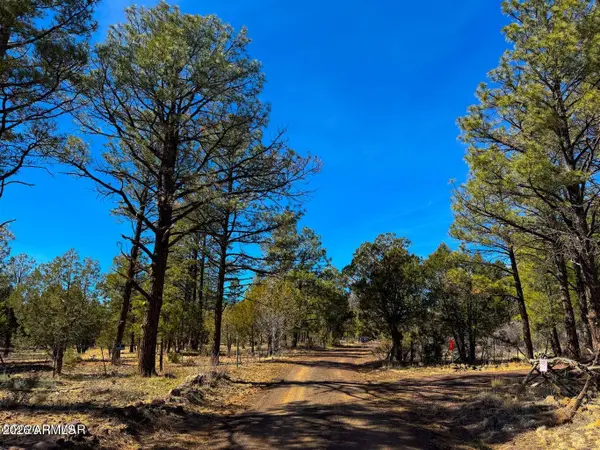 11 Co Rd 3262 5 Acres --, Vernon, AZ 85940