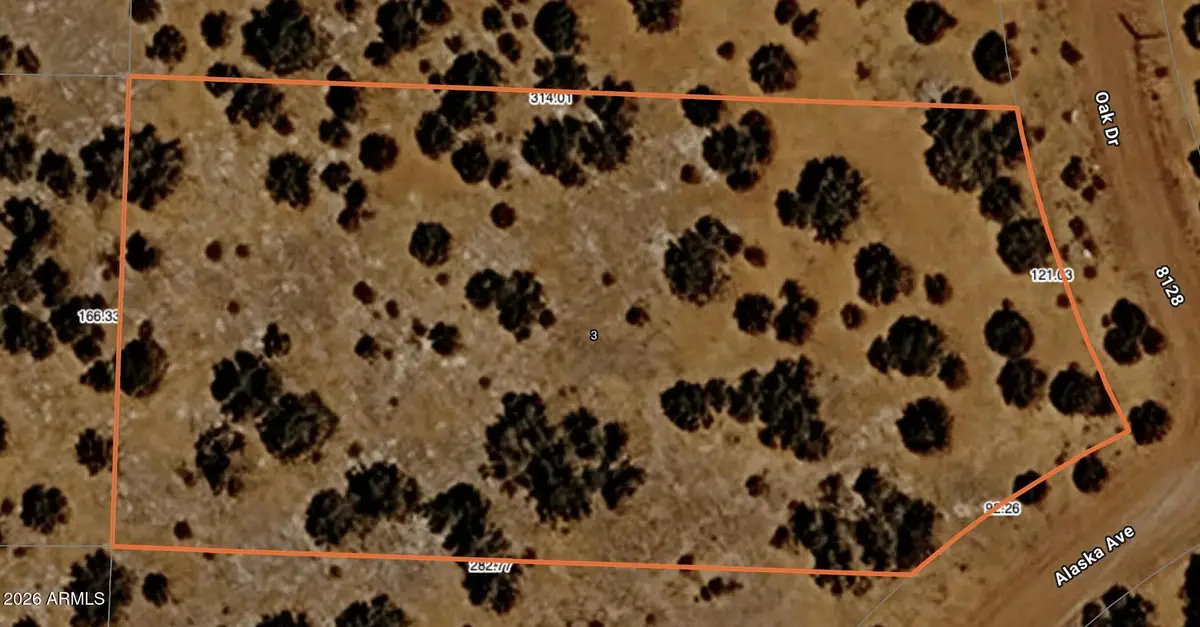 3 Acr 8128 Road #250, Concho, AZ 85924 - #1