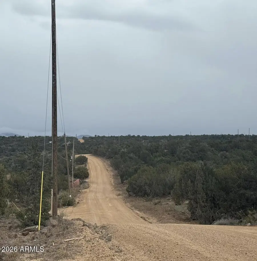 3 Acr 8128 Road #250, Concho, AZ 85924 - #2