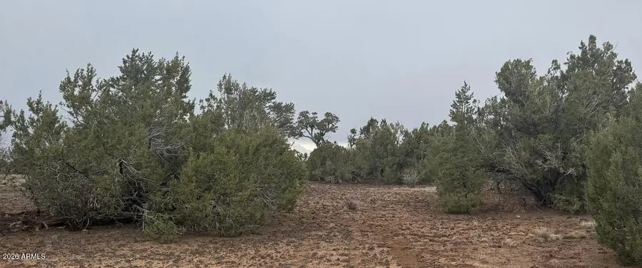 3 Acr 8128 Road #250, Concho, AZ 85924 - #3