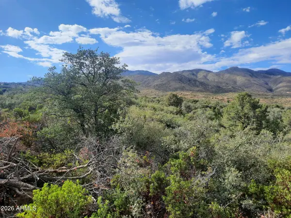 1XX N Chicory Lane, Globe, AZ 85501