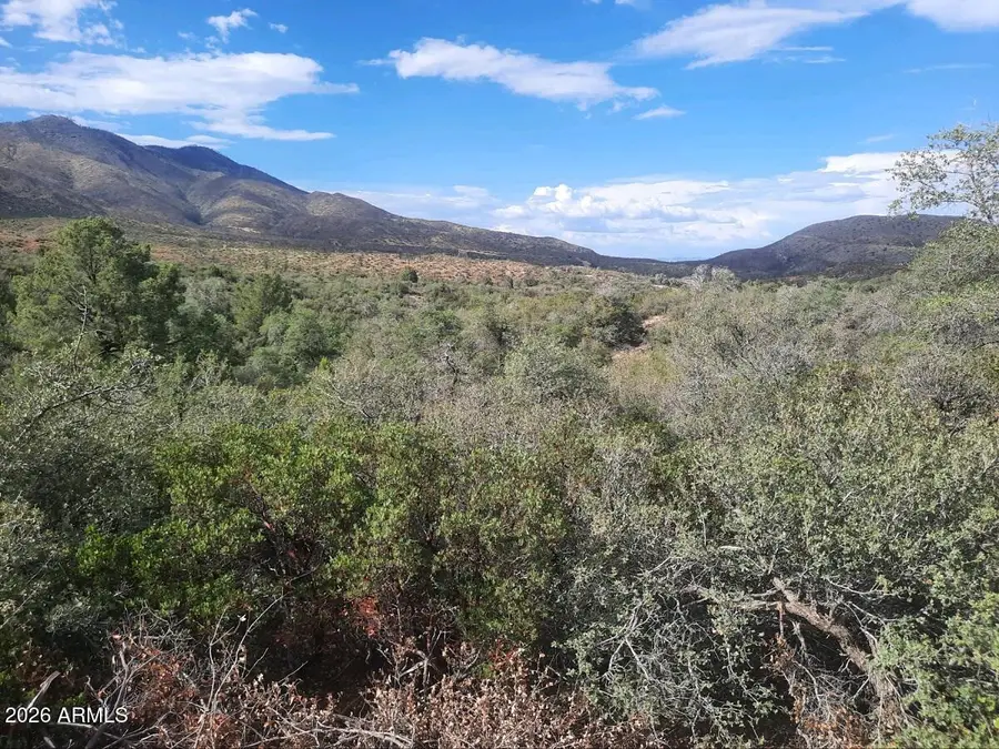 1XX N Chicory Lane, Globe, AZ 85501 - #2