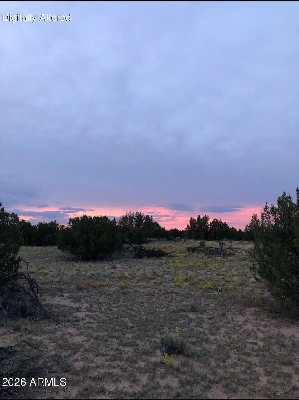 N7349 N N7349 -- #205-84-262, Saint Johns, AZ 85936 - #1