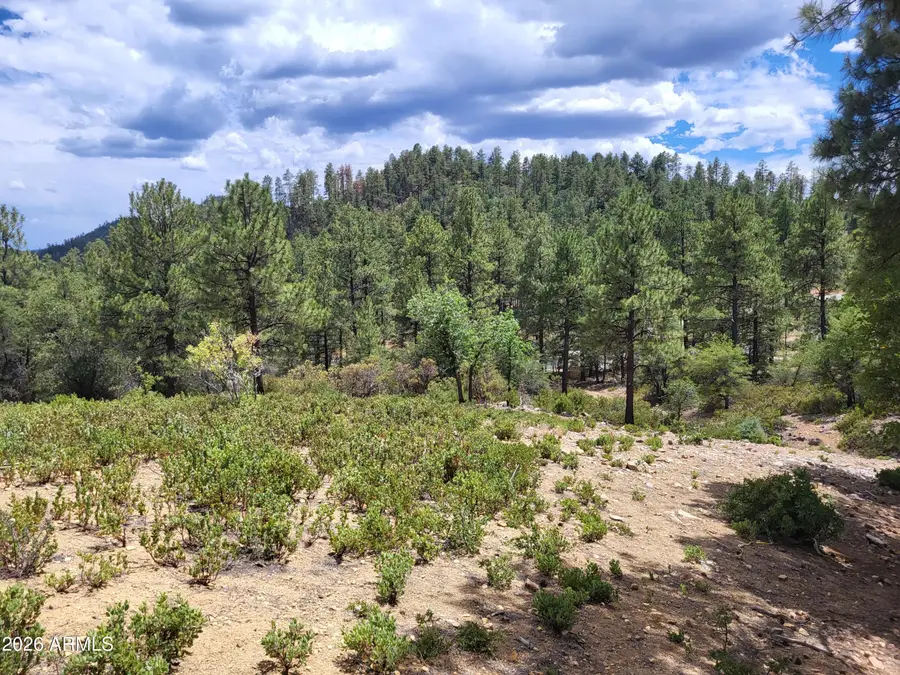 1610 S High Valley Ranch Road #6, Prescott, AZ 86303 - #3