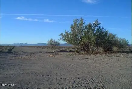 66 W St Street #1, Salome, AZ 85348 - #1
