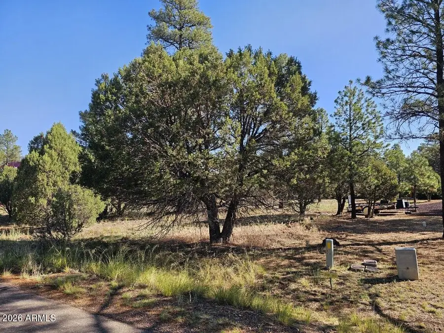 2236 Moccasin Drive #208, Overgaard, AZ 85933 - #2