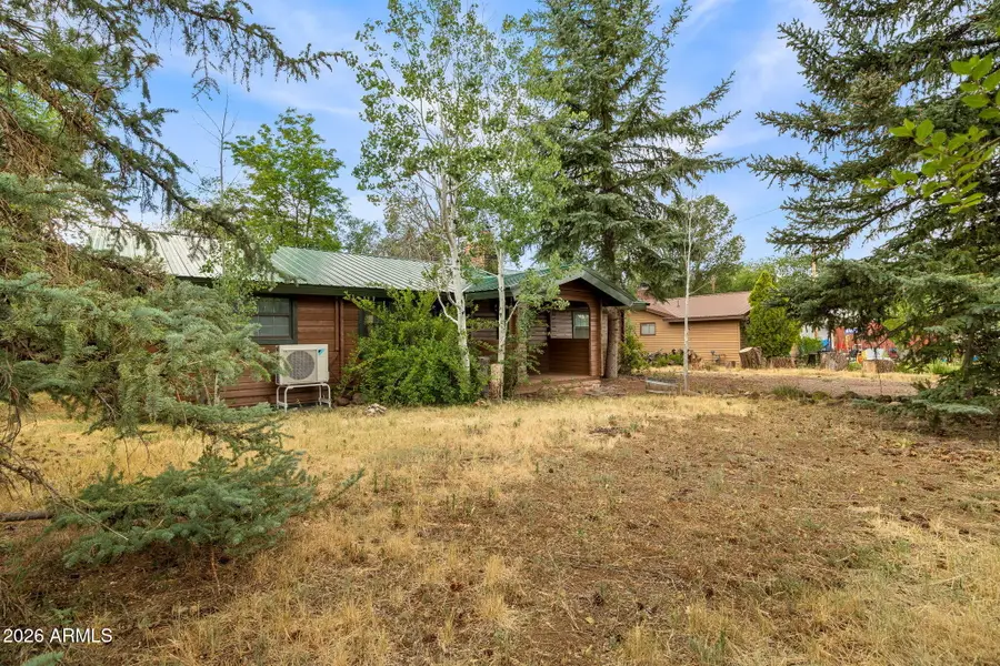 1441 W Navajo Lane, Lakeside, AZ 85929 - #3