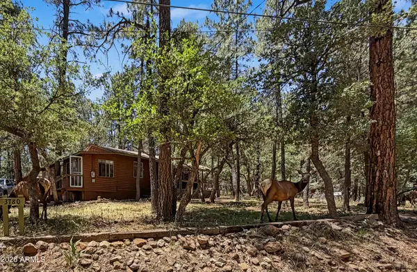 3780 N Hunt Drive, Pine, AZ 85544