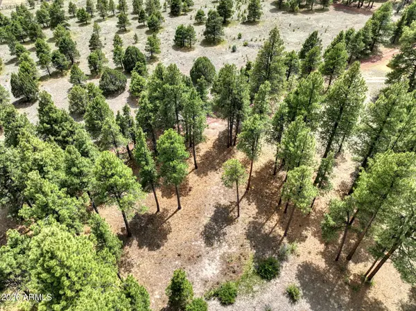 12847 E Dream Acres Lane, Parks, AZ 86018