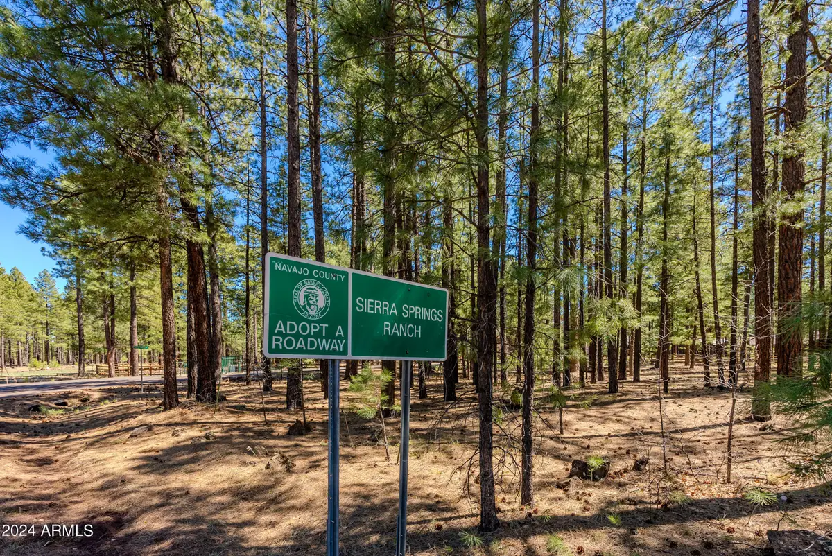 00000 Sky Hi Road, Pinetop, AZ 85935 - #1