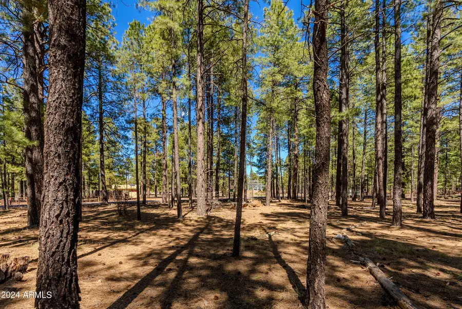 00000 Sky Hi Road, Pinetop, AZ 85935 - #2