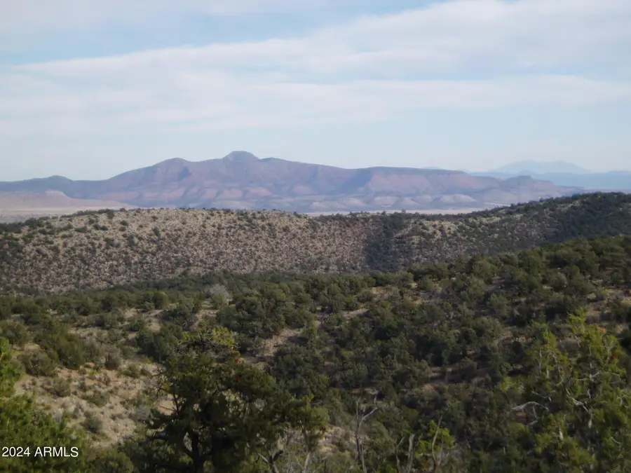 42444 N Purcell Canyon Drive, Seligman, AZ 86337 - #3