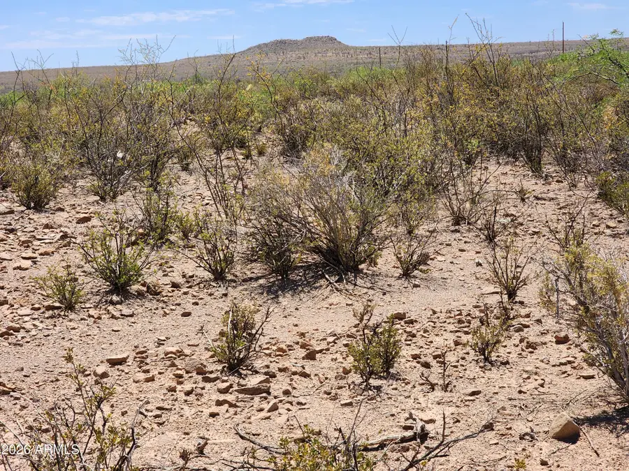 lot a Bowers Road #21, Huachuca City, AZ 85616 - #2